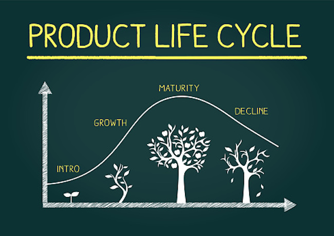 A blackboard with the product life cycle process. There is a graph showing a tree life cycle starting with the intro, followed by growth, maturity and decline.