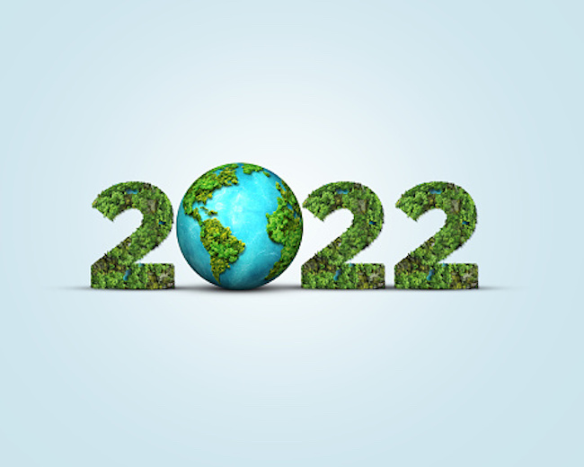 2022 is written out with all the number 2s in green foliage and the zero is the Earth.